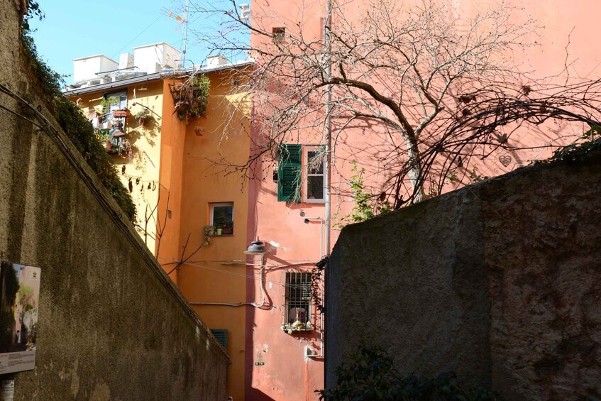 Picture 4 for Activity Genoa: Secret Corners Photography Tour and Traditional Snack