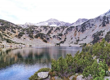 Sofia: wandeling door Pirin National Park en bezoek aan Bansko met lunch