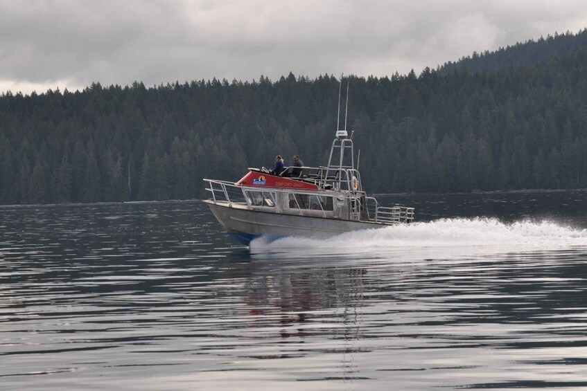 Picture 4 for Activity Campbell River: 6-Hour Whale Watching Boat Tour