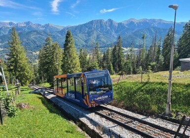 Des de Cracòvia: Excursió d'un dia a les muntanyes de Zakopane i Tatra