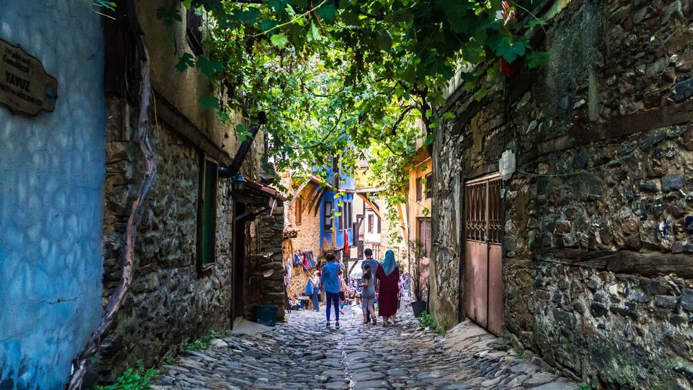 Picture 2 for Activity A Cultural Odyssey: Exploring the Heart of Busra