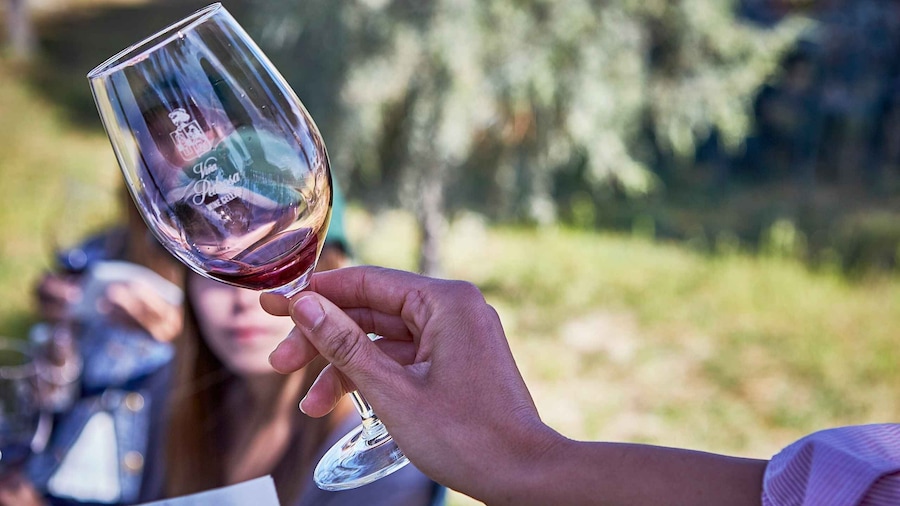 Ribera del Duero: Red Wine Discovery Tour with Tastings