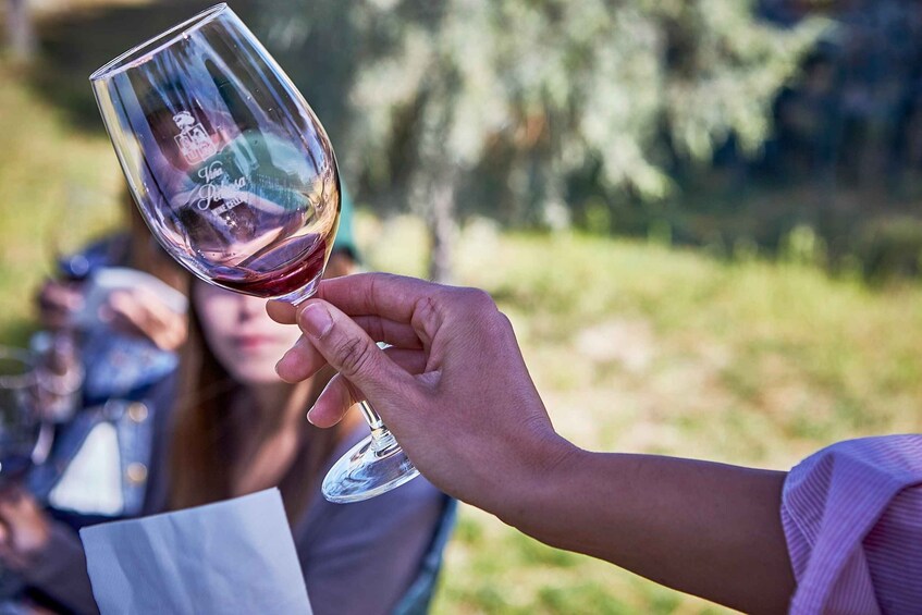 Ribera del Duero: Red Wine Discovery Tour with Tastings