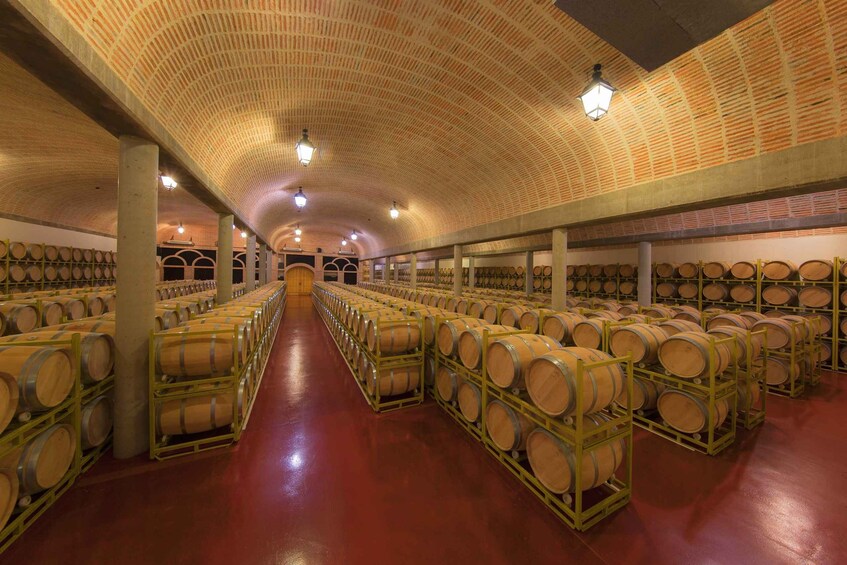 Picture 2 for Activity Ribera del Duero: Red Wine Discovery Tour with Tastings