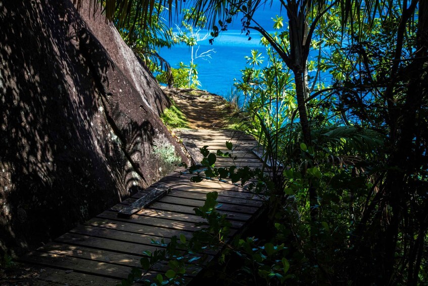 Picture 4 for Activity From Mahe: Guided Nature Trail Walk to Anse Major Beach