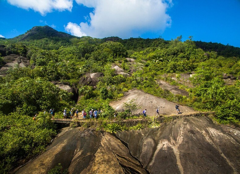 Picture 2 for Activity From Mahe: Guided Nature Trail Walk to Anse Major Beach