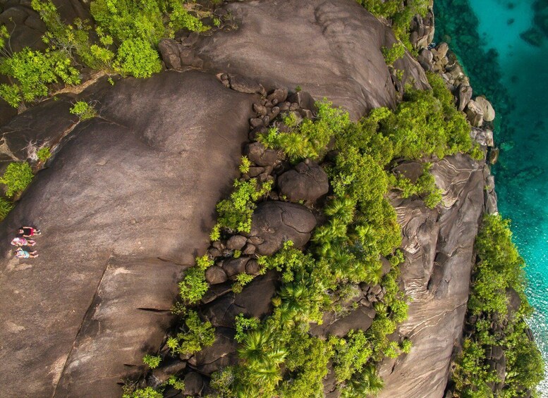 Picture 5 for Activity From Mahe: Guided Nature Trail Walk to Anse Major Beach