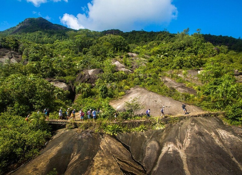 Picture 2 for Activity From Mahe: Guided Nature Trail Walk to Anse Major Beach