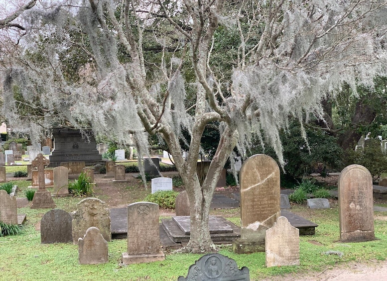 Picture 4 for Activity Charleston: Self-Guided Ghost Tour