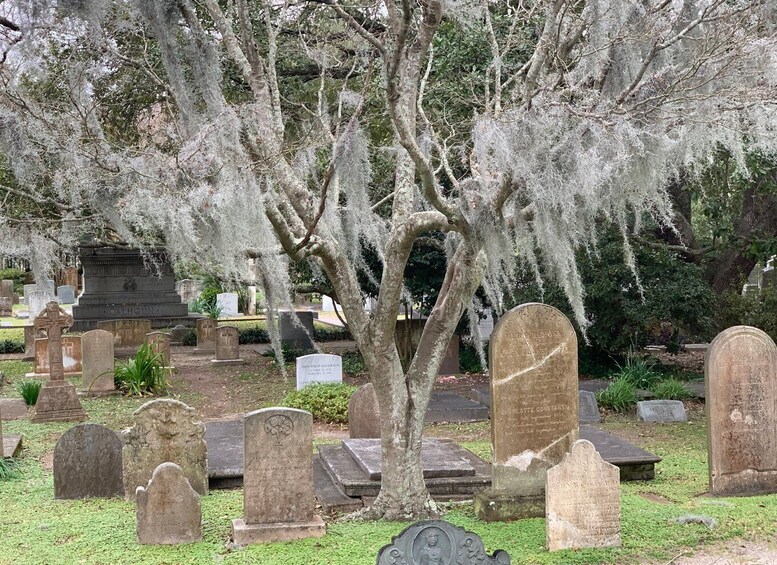 Picture 4 for Activity Charleston: Self-Guided Ghost Tour