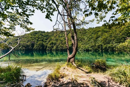 Fra Split: Plitvice Lakes guidet dagstur med billetter