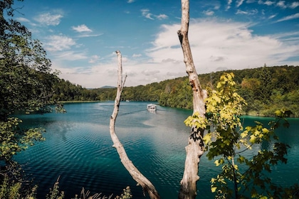 Da Spalato: tour guidato giornaliero dei laghi di Plitvice con biglietti