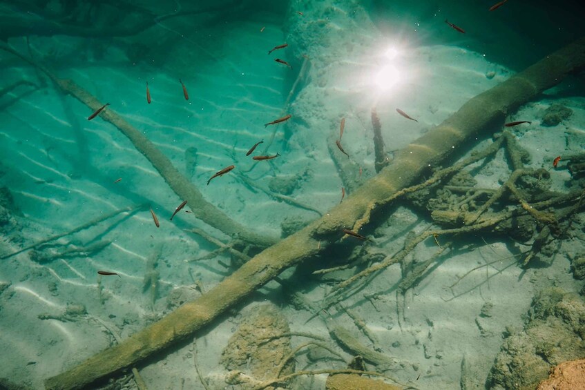 Picture 14 for Activity Split: Self-Guided Plitvice Lakes Day Tour with Boat Ride