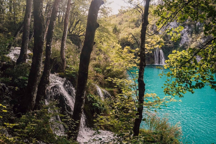 Picture 18 for Activity Split: Self-Guided Plitvice Lakes Day Tour with Boat Ride
