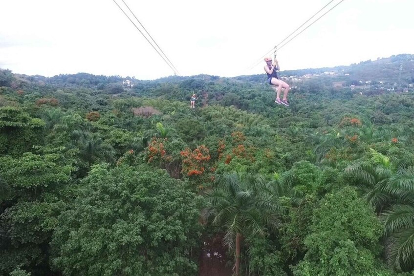 Picture 6 for Activity From San Juan: Zipline Canopy Adventure Tour