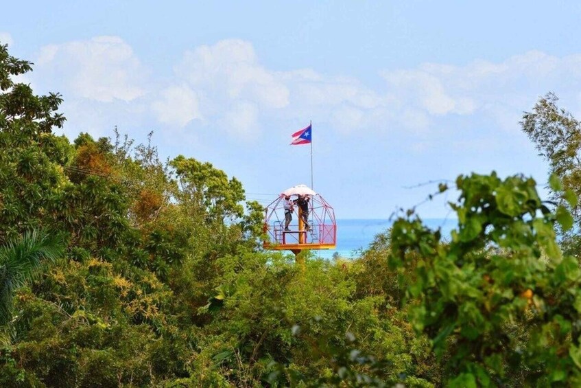 Picture 2 for Activity From San Juan: Zipline Canopy Adventure Tour