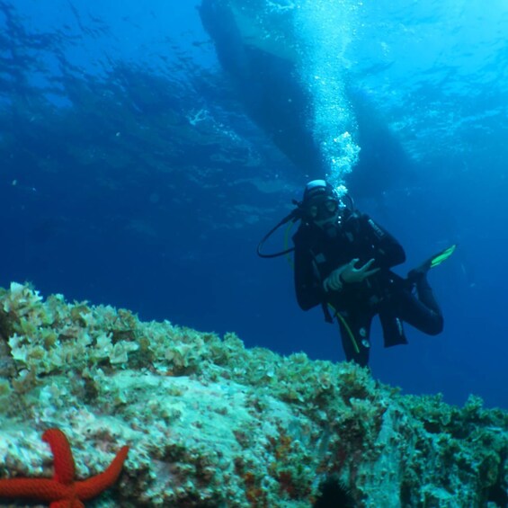 Picture 2 for Activity From Lerici: Scuba Diving Lessons and Dive in Portovenere