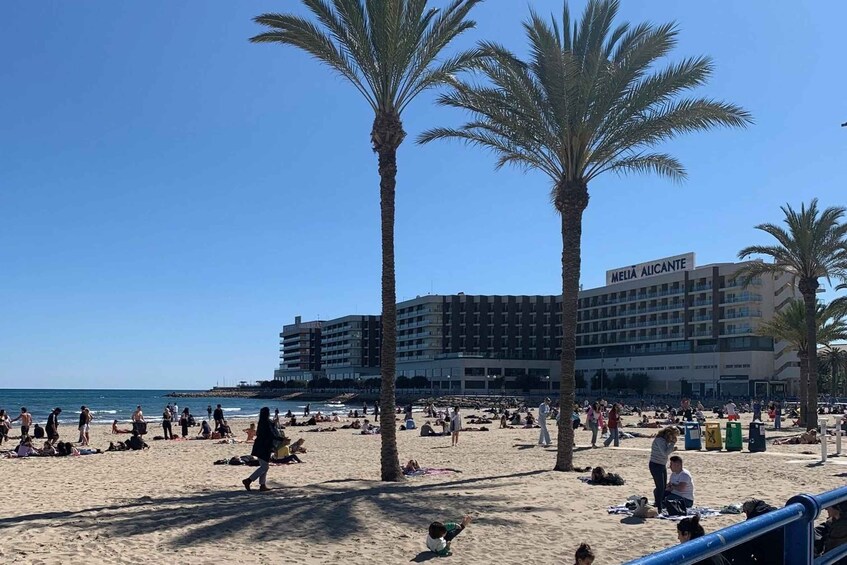 Picture 19 for Activity From Albir and Benidorm: Day Trip to Alicante by Coach