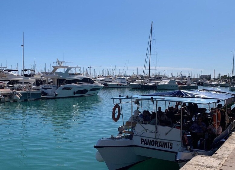 Picture 21 for Activity From Albir and Benidorm: Day Trip to Alicante by Coach