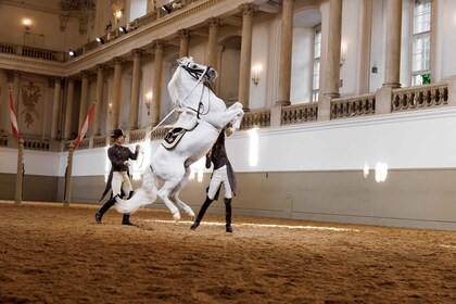 Vienna: Spanish Riding School 45-Minute Performance Show