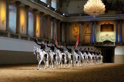 Vienna: Spanish Riding School 45-Minute Performance Show