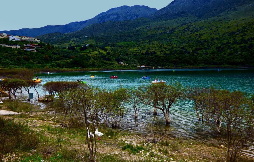 Picture 7 for Activity From Chania: Rethymno & Lake Kournas Private Tour