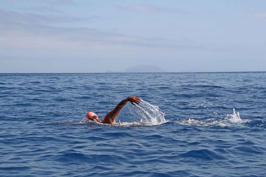 Picture 4 for Activity Madeira: Open Water Swimming