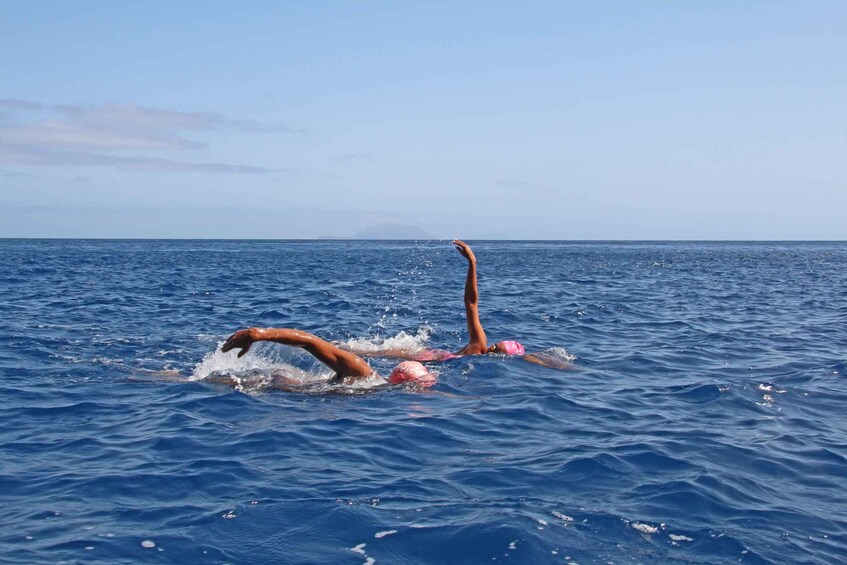 Picture 3 for Activity Madeira: Open Water Swimming