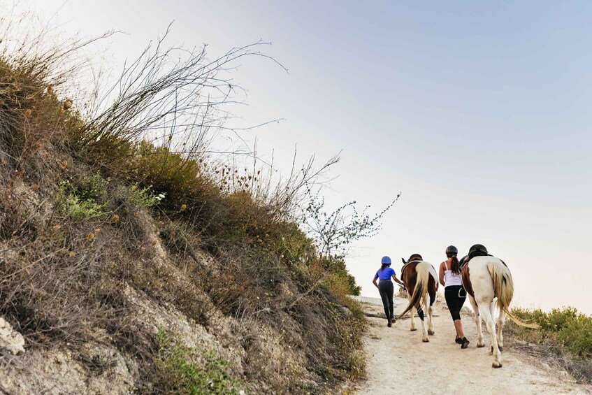Picture 9 for Activity Heraklion: Horse Ride in the Cretan Mountains
