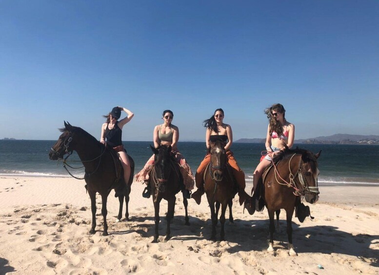 Picture 4 for Activity Brasilito: Horseback Riding on Playa Conchal and Brasilito