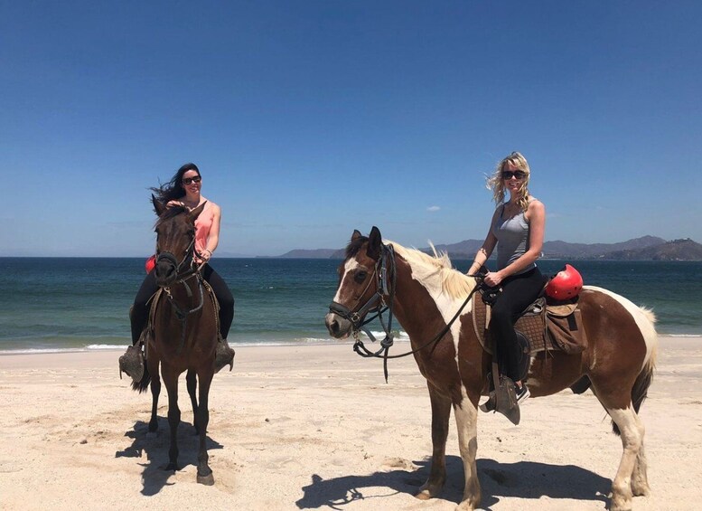 Picture 1 for Activity Brasilito: Horseback Riding on Playa Conchal and Brasilito