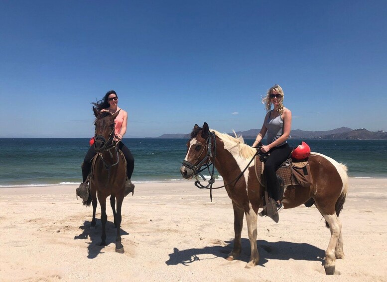 Picture 1 for Activity Brasilito: Horseback Riding on Playa Conchal and Brasilito