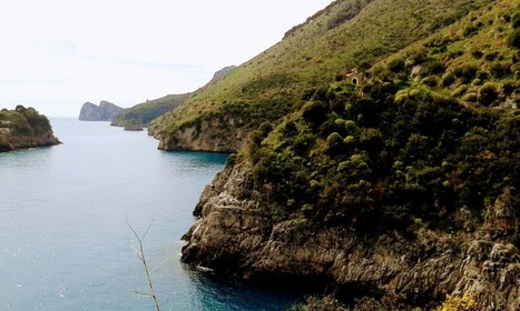 Von Nerano aus: Kajaktour von der sorrentinischen Küste zum Crapolla Fjord