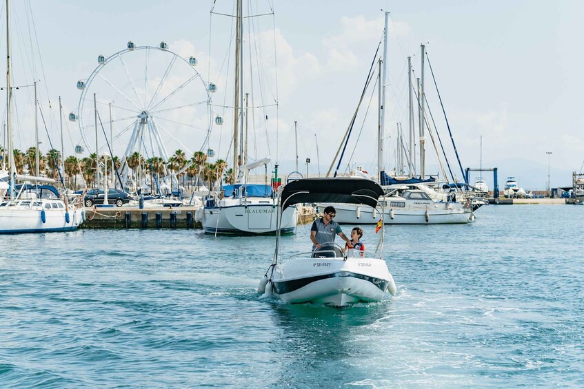 Picture 11 for Activity Malaga: Boat Rental without a License for Dolphin Watching