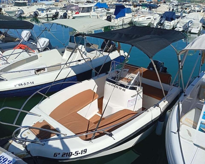 Picture 20 for Activity Malaga: Boat Rental without a License for Dolphin Watching