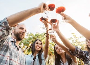 Kefalonia: Gresk vinsmaking på Sclavos Winery nær Lixouri