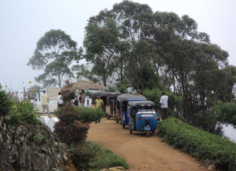 Picture 8 for Activity Tuk-Tuk Safari Liptons seat,Tea Fields Hike,TeaFactory Tour