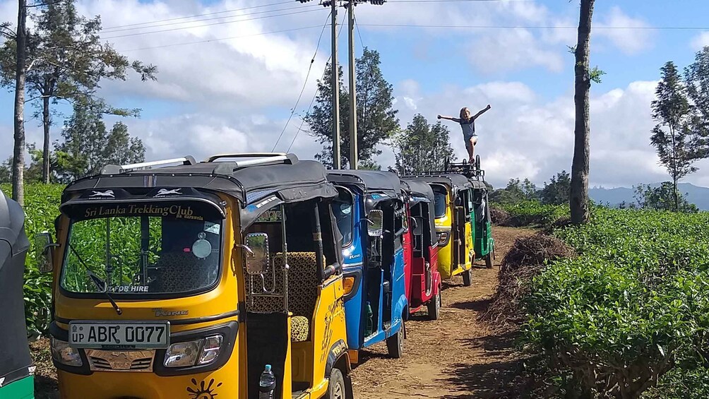 Picture 7 for Activity Tuk-Tuk Safari Liptons seat,Tea Fields Hike,TeaFactory Tour