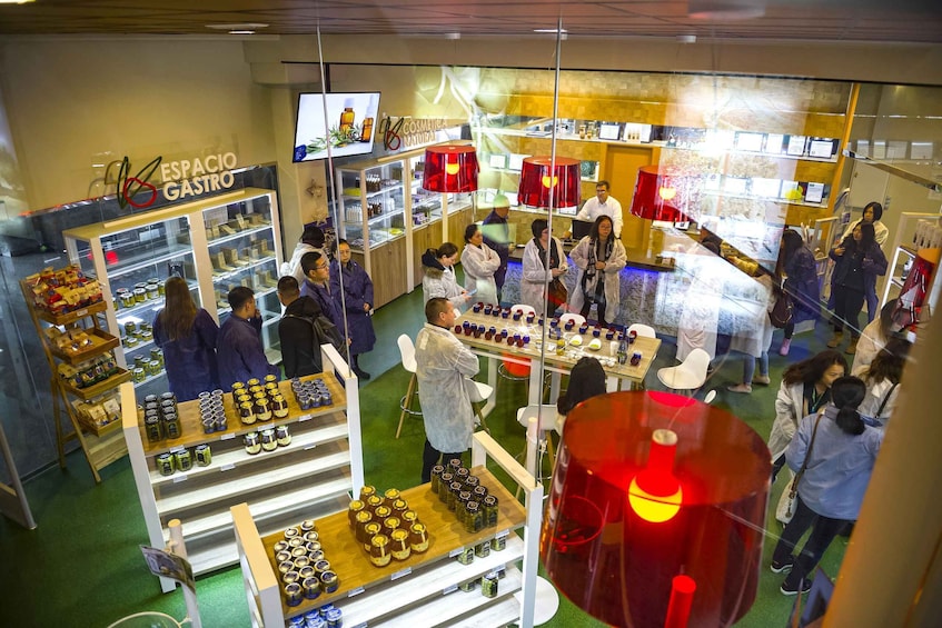 Picture 4 for Activity Jaén: Olive Mill Tour and Olive Oil Tasting Experience