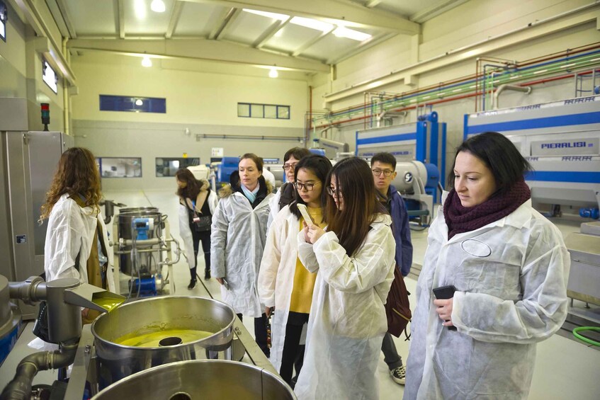 Picture 3 for Activity Jaén: Olive Mill Tour and Olive Oil Tasting Experience