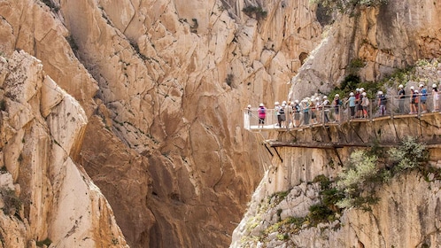 De Málaga : Caminito del Rey Excursion d’une journée en bus