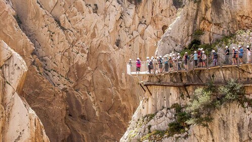 Fra Málaga: Caminito del Rey dagstur med bus