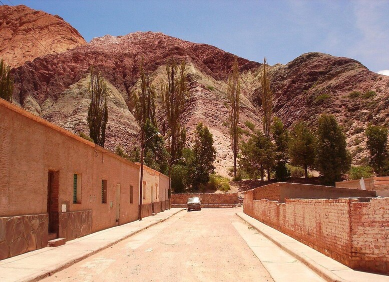 Picture 15 for Activity From Salta: Cafayate, Salinas Grandes, & Hornocal Tour