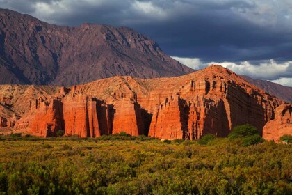 Desde Salta: recorrido por Cafayate, Salinas Grandes y Hornocal