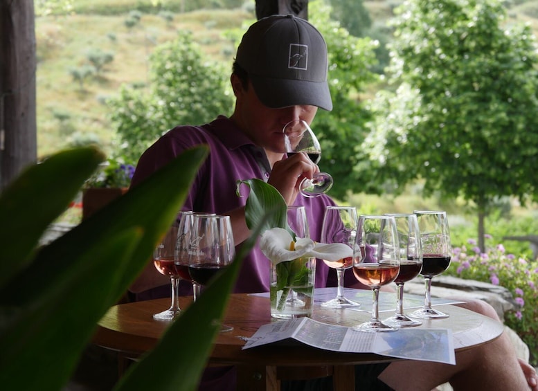 Douro Valley: Quinta do Tedo Winery Tour and Tasting