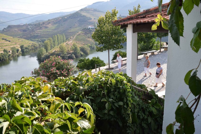 Picture 2 for Activity Douro Valley: Quinta do Tedo Winery Tour and Tasting