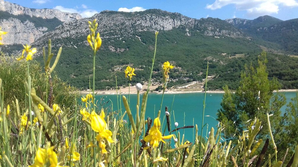 Picture 1 for Activity Verdon Gorge: The Grand canyon of Europe, Lake and Lavender