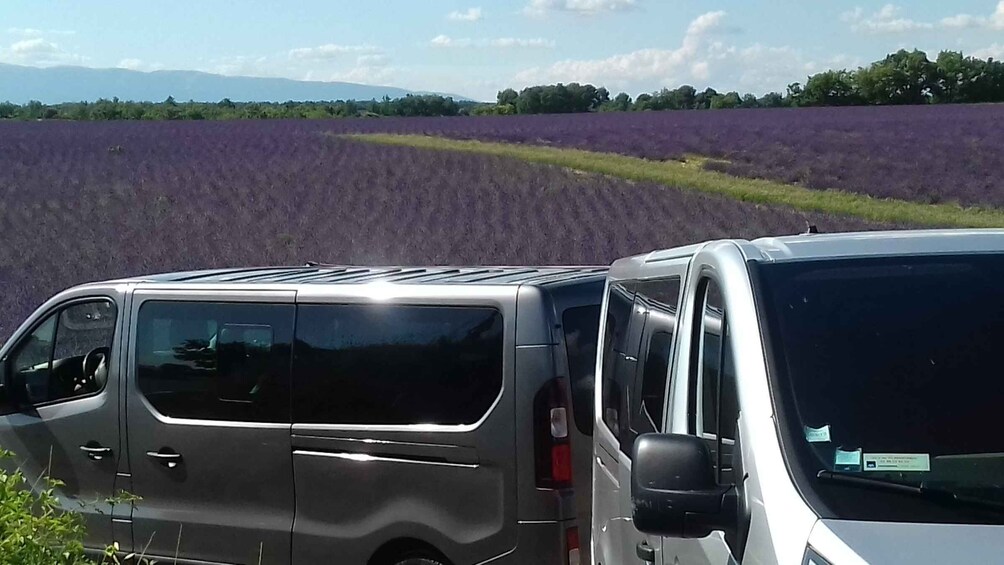 Picture 4 for Activity Verdon Gorge: The Grand canyon of Europe, Lake and Lavender