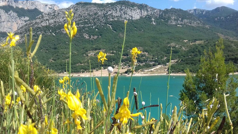 Picture 1 for Activity Verdon Gorge: The Grand canyon of Europe, Lake and Lavender