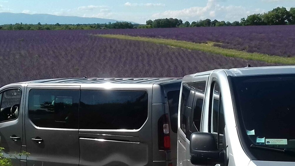 Picture 4 for Activity Verdon Gorge: The Grand canyon of Europe, Lake and Lavender